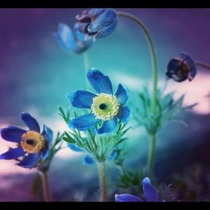 Meet your Posher, Cori